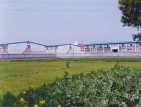 ΰ�¹���(Weide��1949)ʼ��Ӣ��-The best platform